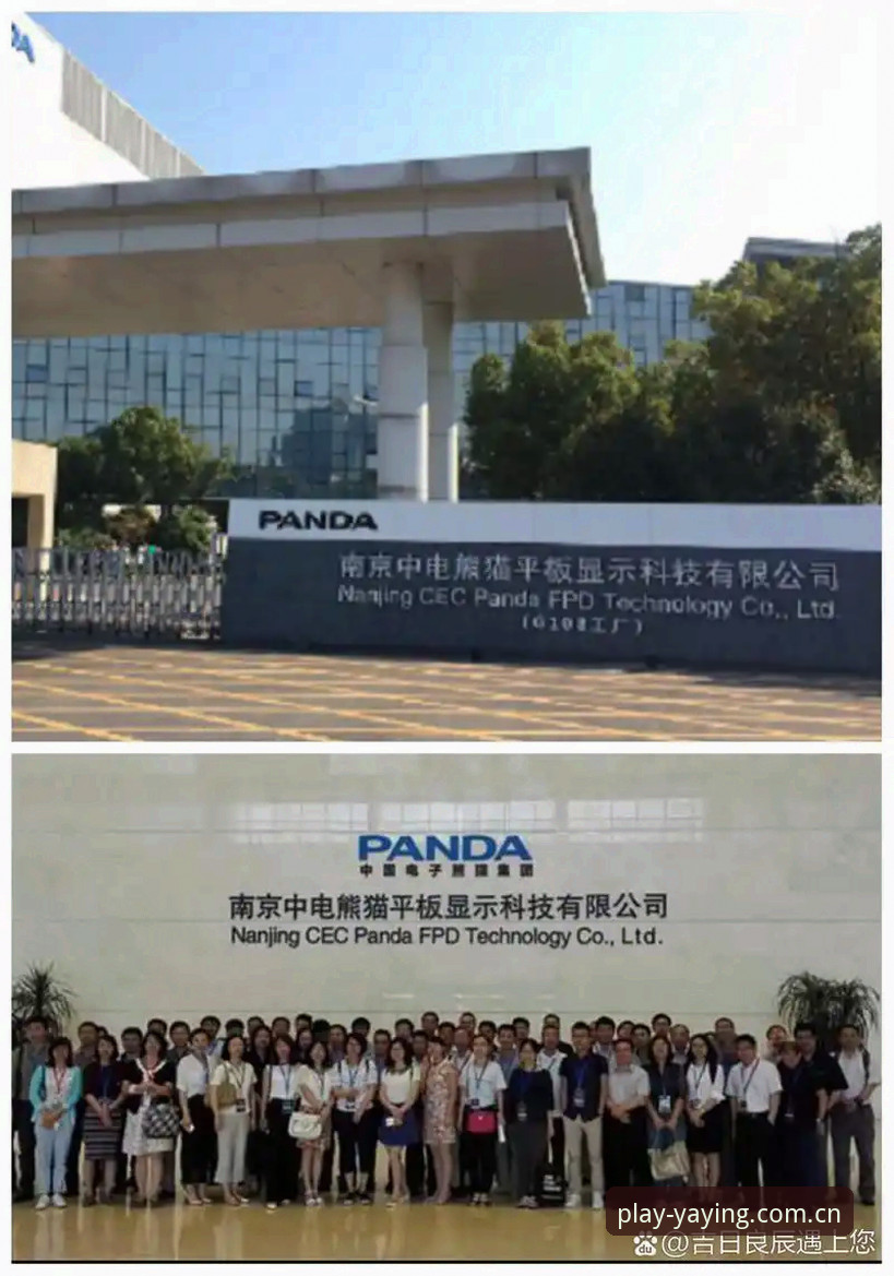 揭秘亚盈A7B3下载背后的数据真相：体育赛事互动平台的新标杆